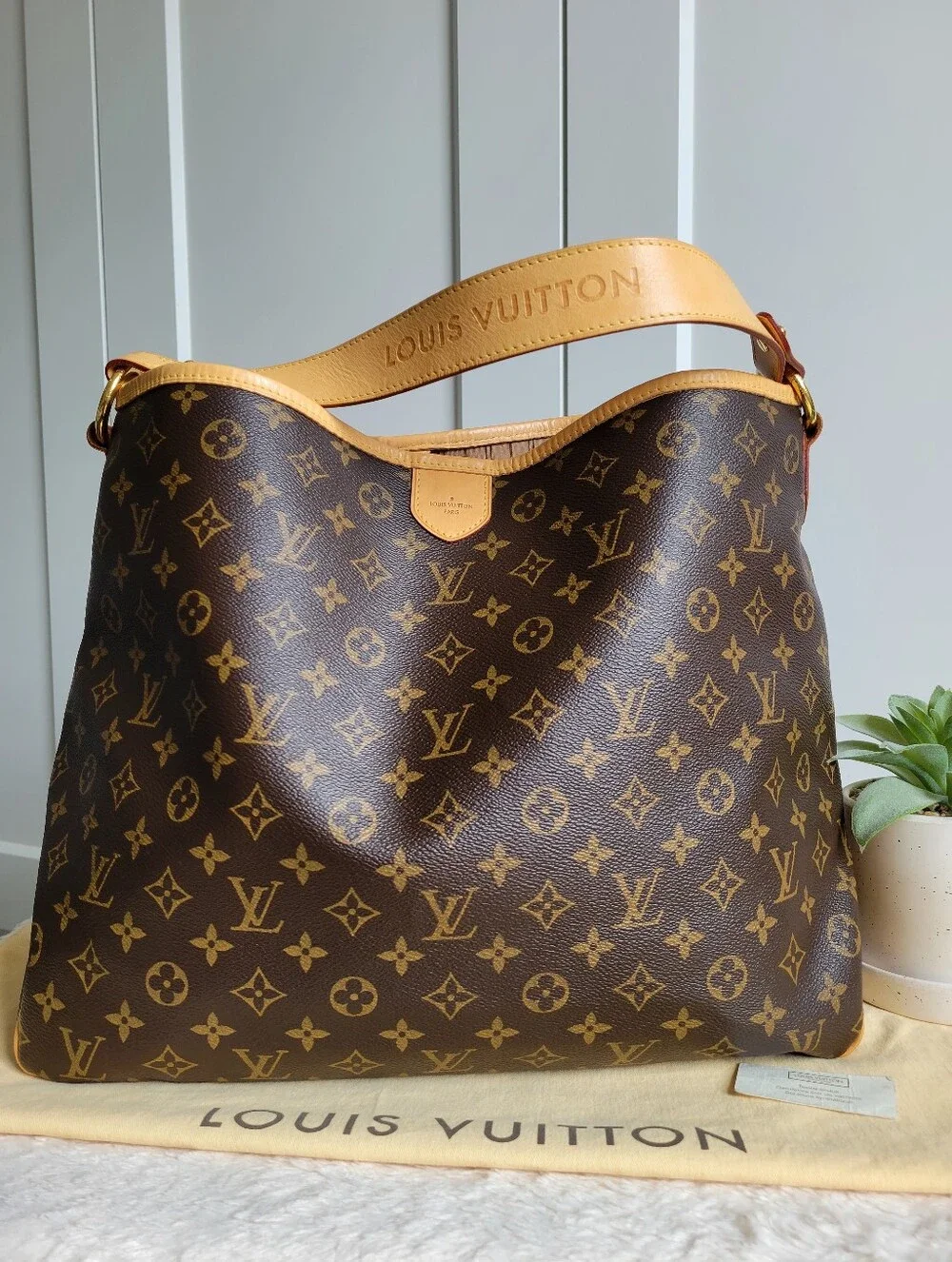 Louis Vuitton DELIGHTFUL MM Hobo Shoulder Bag Monogram